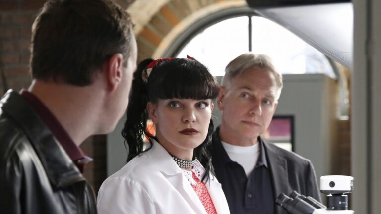 NCIS : que deviennent Mark Harmon (Gibbs) et Pauley Perrette (Abby) ?