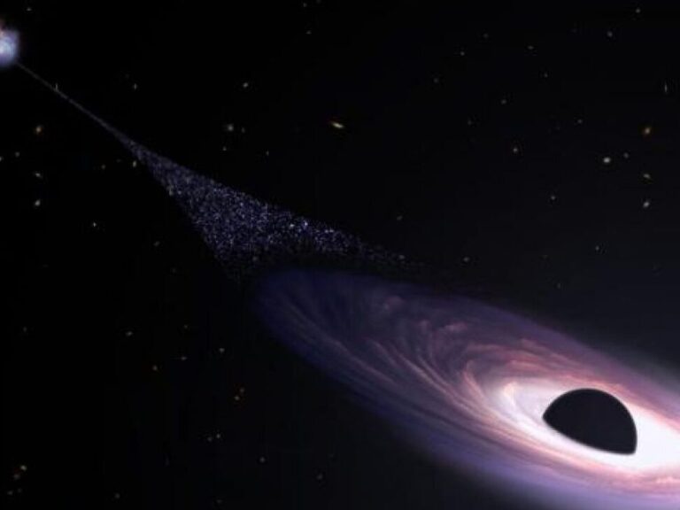 Les étoiles brillent sur les 12 coups de midi