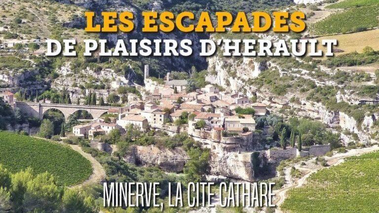 Revigorante hausse de l’audience TV le 24 janvier 2023 : Les téléspectateurs sont au rendez-vous !