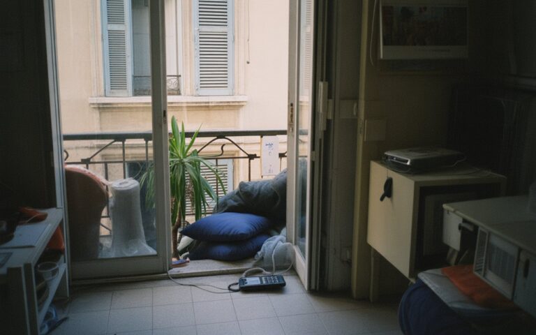 Salon marseillais, plante renversée, téléphone
