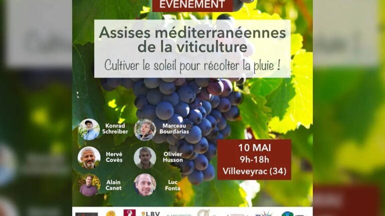 12 coups de midi du 25 février 2023 : Un suspense insoutenable !