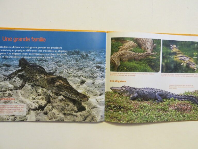 Pourquoi les crocodiles fascinent-ils tant le cinéma ?