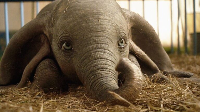Quelle est la morale du film Dumbo ?